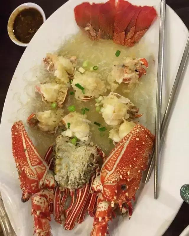 帕劳归来不看海视频,帕劳归来不看海