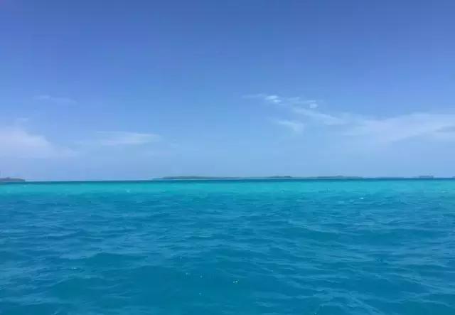 帕劳归来不看海视频,帕劳归来不看海