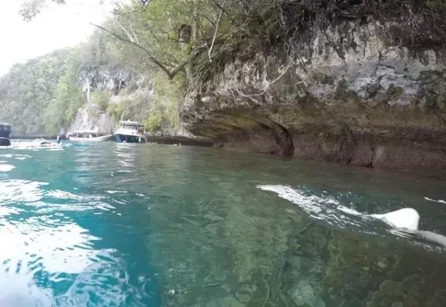 帕劳归来不看海视频,帕劳归来不看海