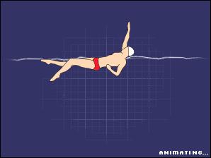 仰泳的正确泳姿教学视频,仰泳的正确泳姿完整慢动作