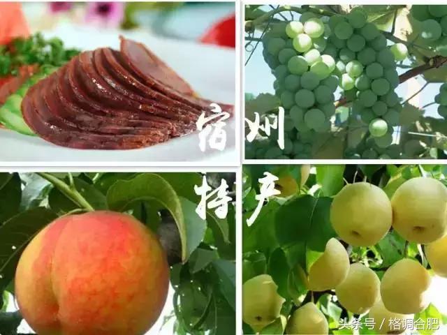 最受欢迎各省的土特产,安徽家乡特产