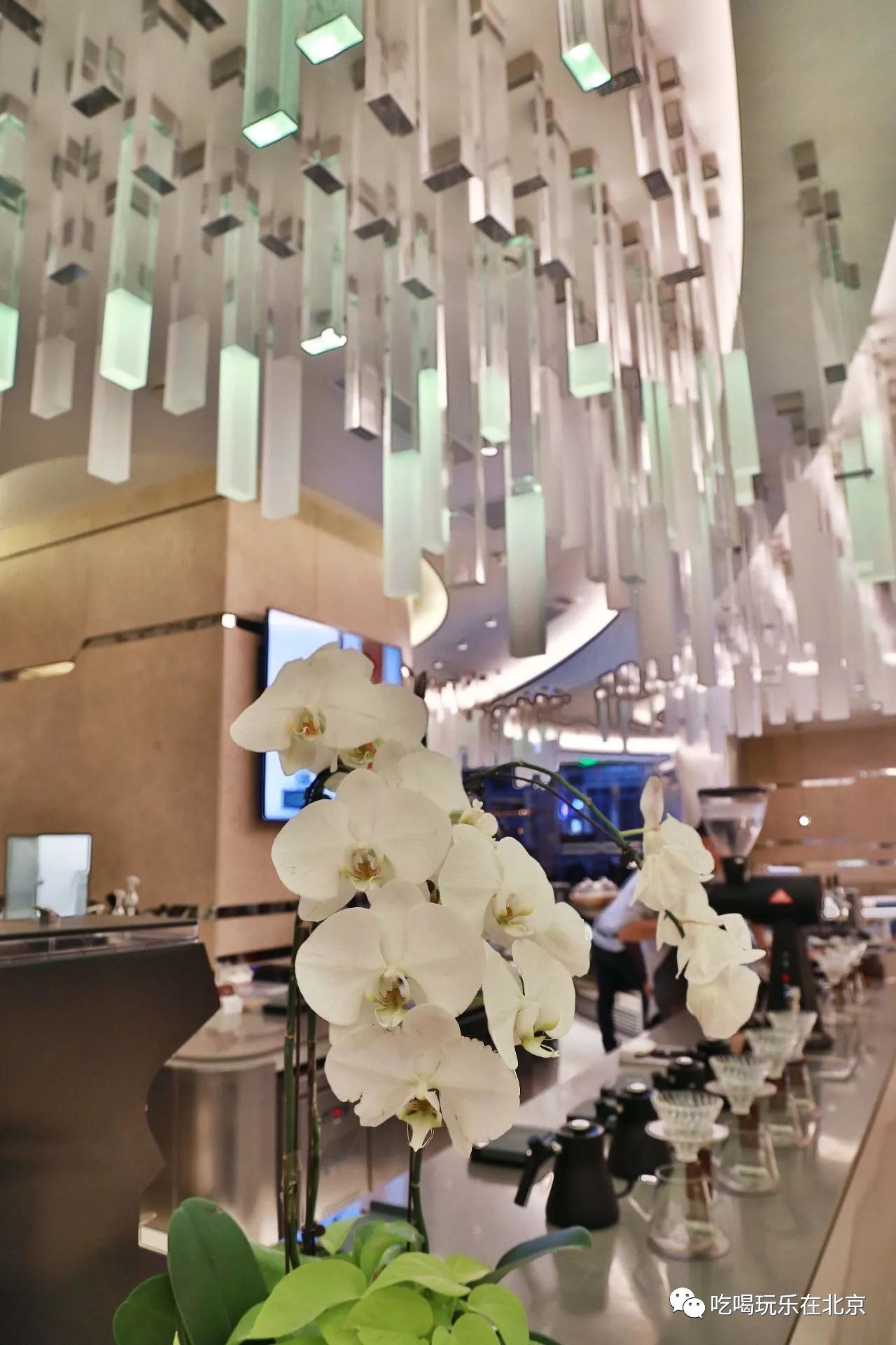 在全北京*博兰**基尼最多的地方，开了家咖啡界的巴黎世家