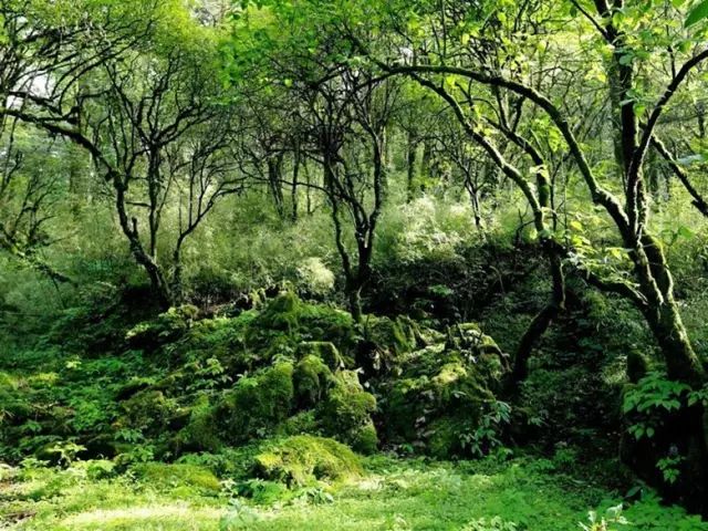 墨脱有多神秘,墨脱一条真正的天路