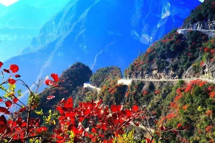 重庆让人着迷的城市,重庆一个充满火锅味的城市