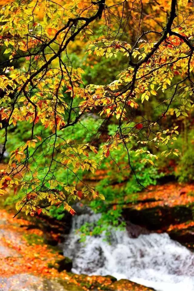 重庆让人着迷的城市,重庆一个充满火锅味的城市