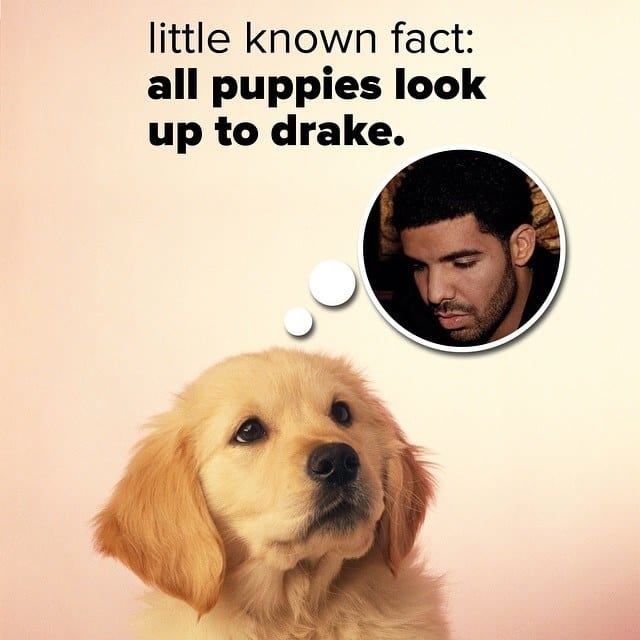 我们希望学校能教会我们这14件事情，然而并没有