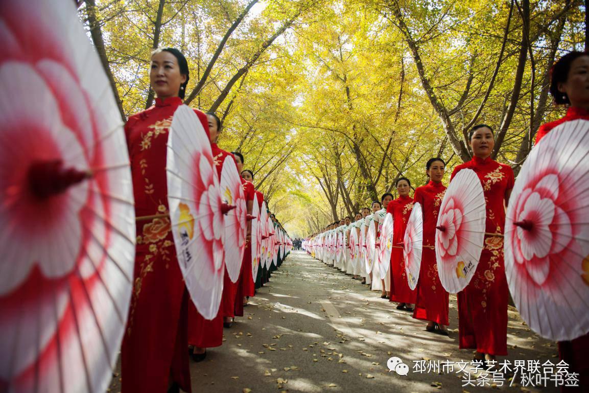 2017杏会邳州｜山东·王统武：邳州美景摄影作品欣赏