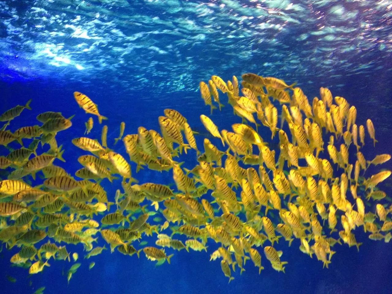 上海哪个地铁站去景点方便,上海免费景点及地铁路线