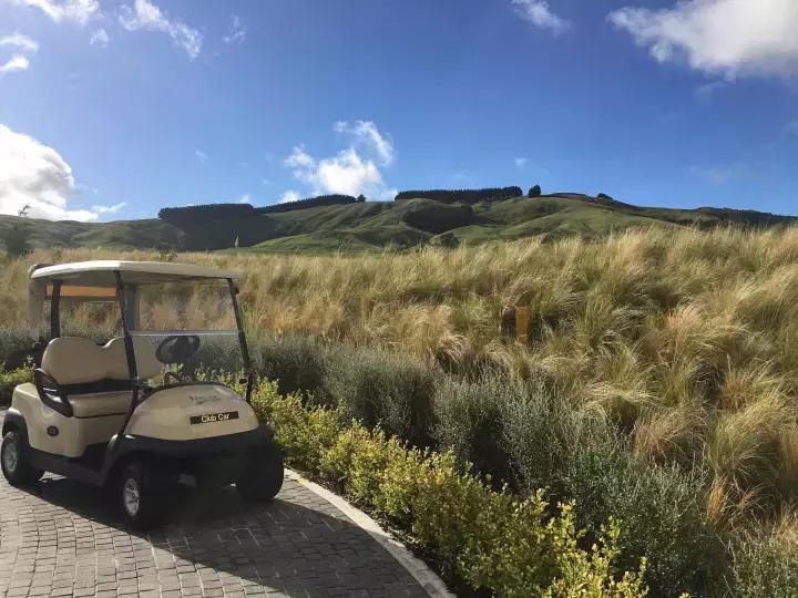 他们有钱，会玩，没有中产焦虑