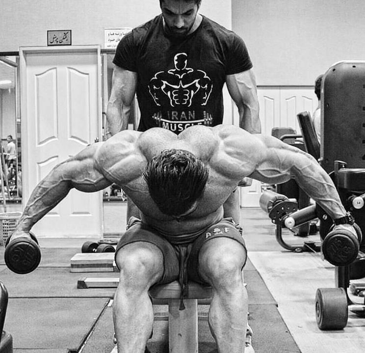 全身肌肉哑铃训练,如何用哑铃锻炼身体练遍全身