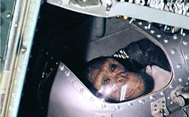 人类第1个进入太空的宇航员,动物界十大太空宇航员