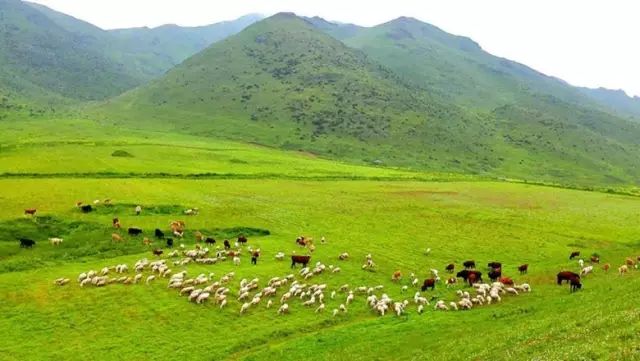 墨脱有多神秘,墨脱一条真正的天路