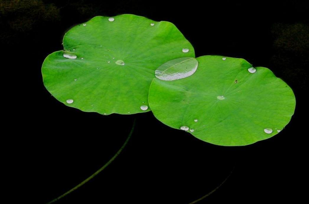 避免翻船通关,如何防止船舶翻船