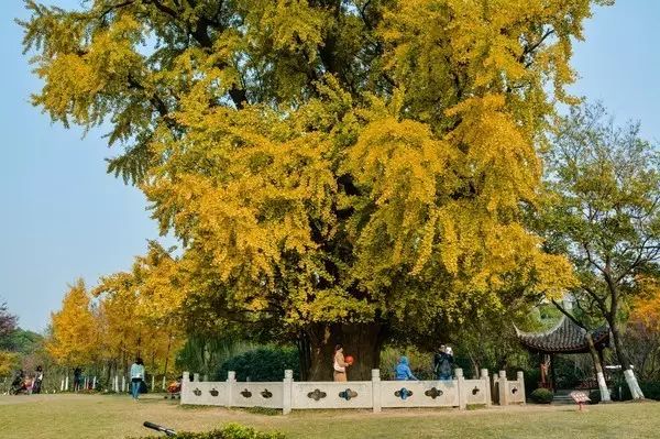 上海哪个地铁站去景点方便,上海免费景点及地铁路线