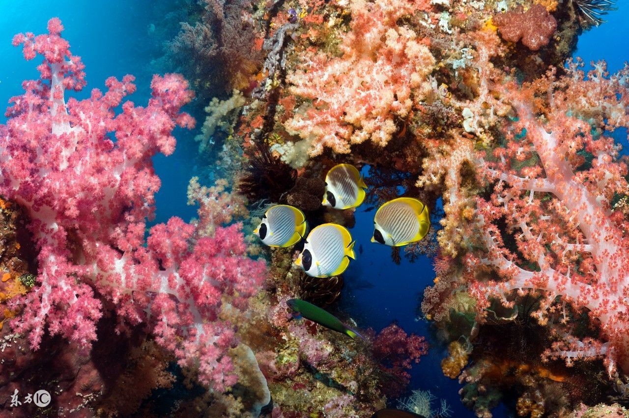 广东峡谷旅游景点,广东的大峡谷旅游景点