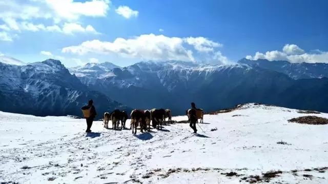 墨脱有多神秘,墨脱一条真正的天路