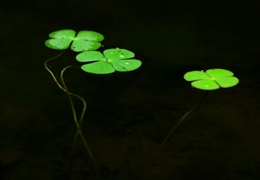 避免翻船通关,如何防止船舶翻船