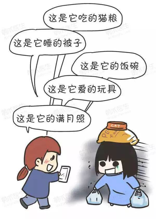 领养猫咪怎么看精神状态,领养猫咪如何知道乖不乖