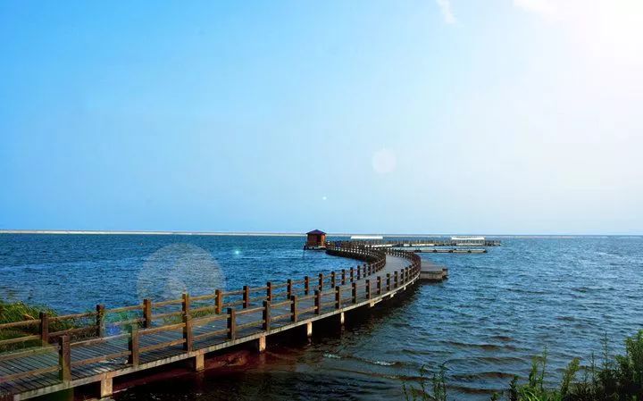 上海哪个地铁站去景点方便,上海免费景点及地铁路线