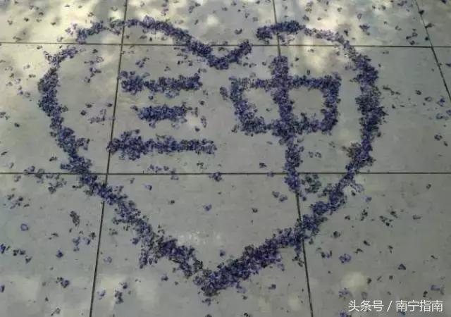 南宁三中分析,南宁三中详细介绍