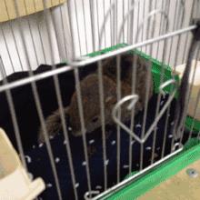 南宁三中分析,南宁三中详细介绍