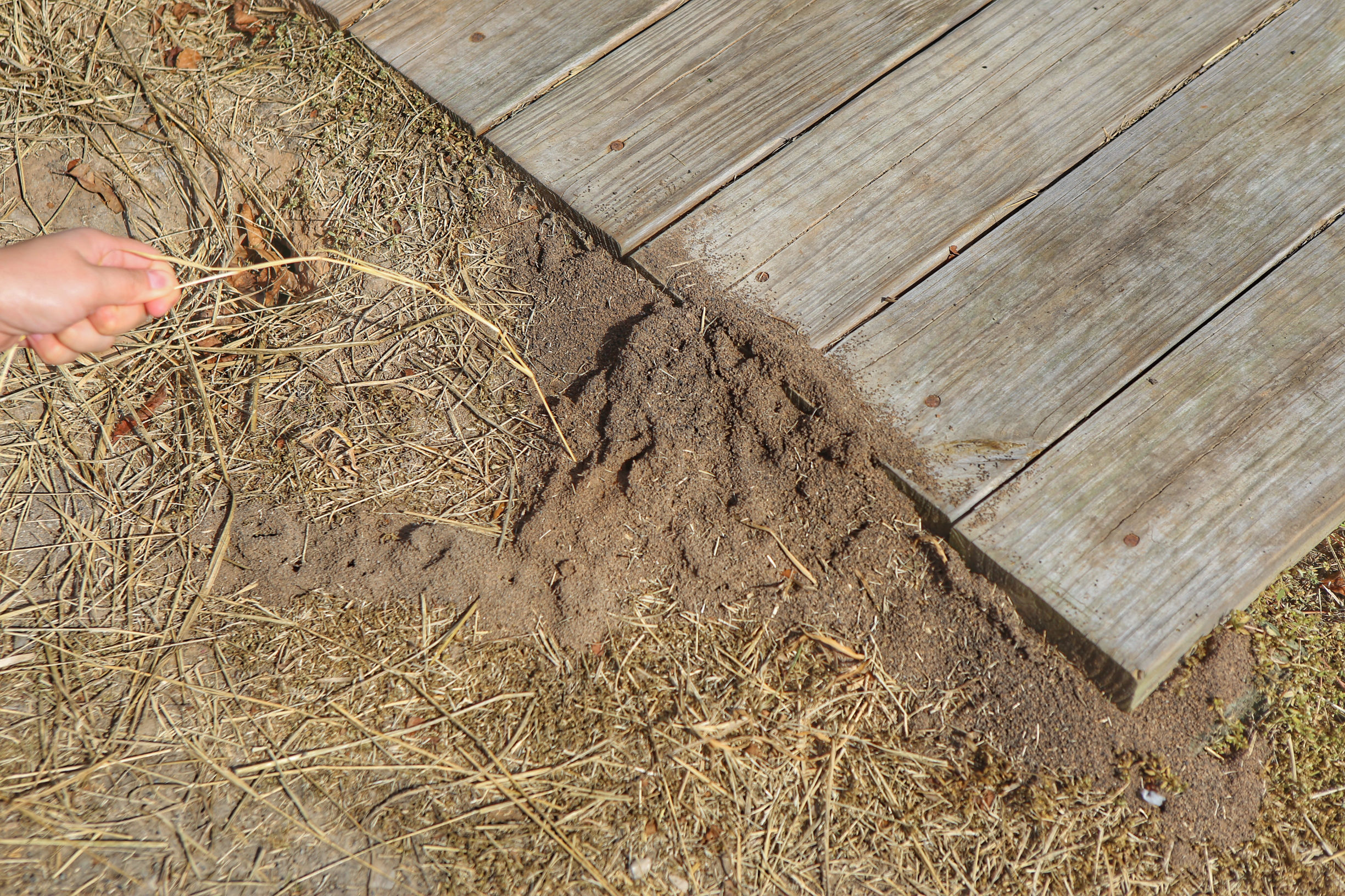 美国德克萨斯州的房子,为什么德克萨斯州的房子便宜