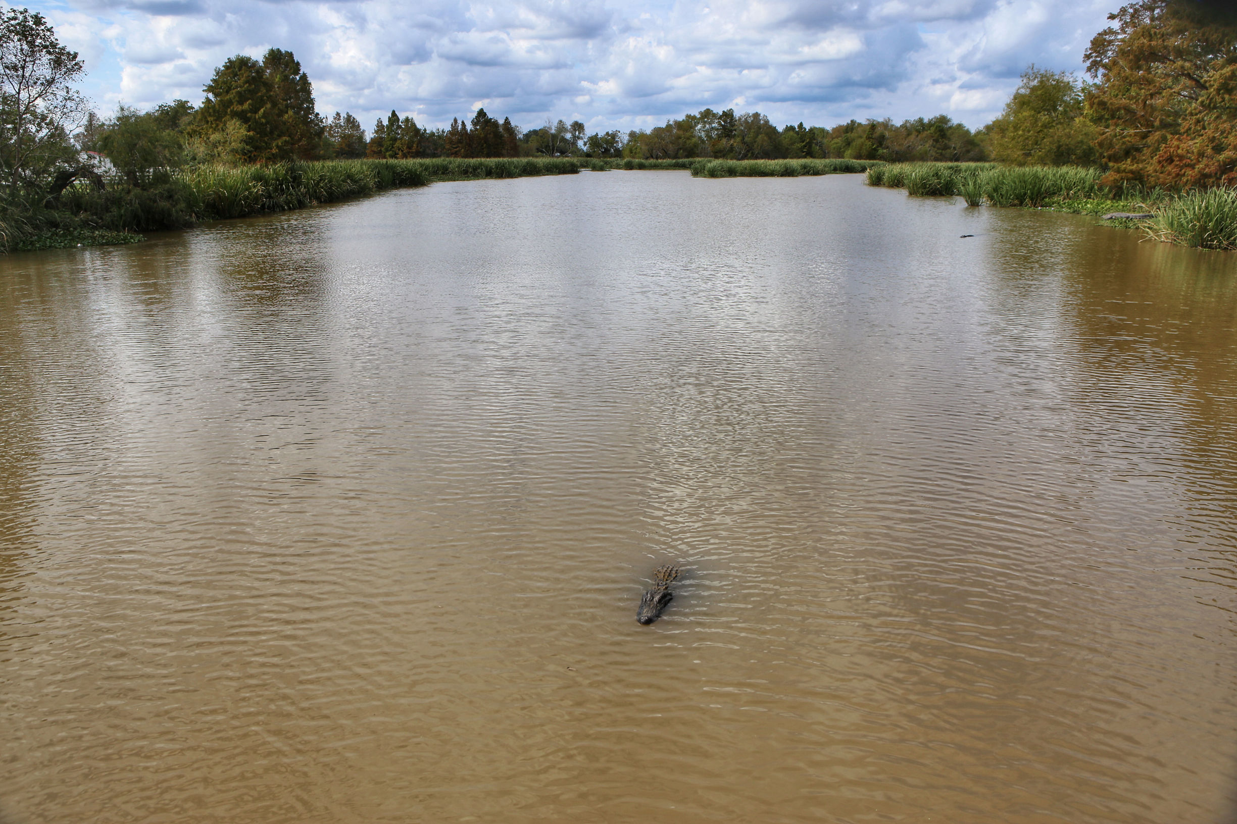 美国德克萨斯州的房子,为什么德克萨斯州的房子便宜