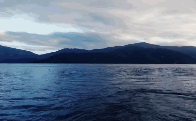 他们有钱，会玩，没有中产焦虑