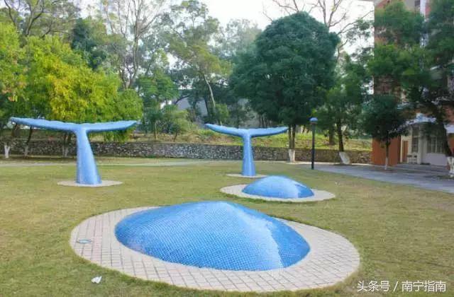 南宁三中分析,南宁三中详细介绍