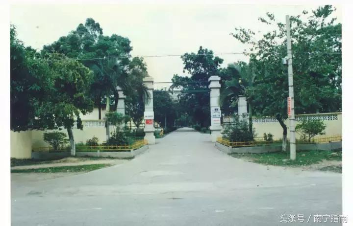 南宁三中分析,南宁三中详细介绍