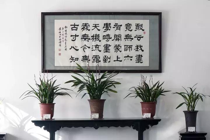 兰花未来市场行情,兰花价格行情在哪里看