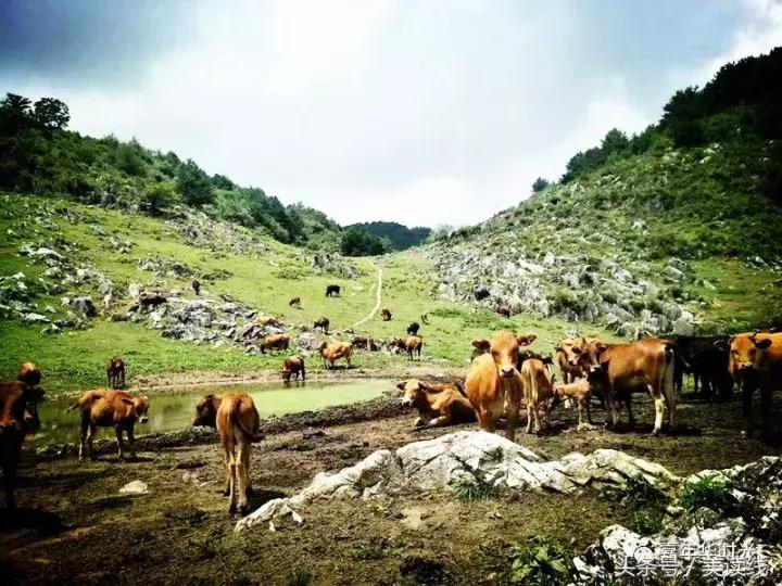 在路上：朱登荣《西北三省行》