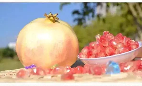 大红河60岁啦！这里到底有多美？跟着13县市的方队一起来看看