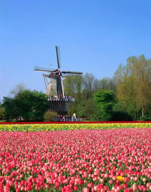 不想去旅行了是什么原因,30岁不想去旅行