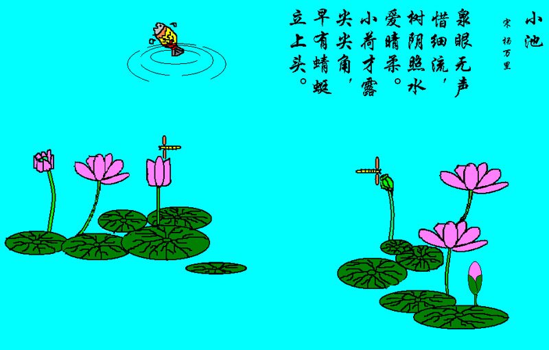 大蜓和蜻蜓区别,蜻蜓的蜻和蜓怎么区分