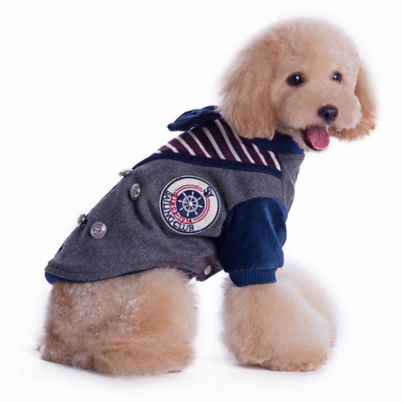 狗狗健康的常见问题,宠物门店问答