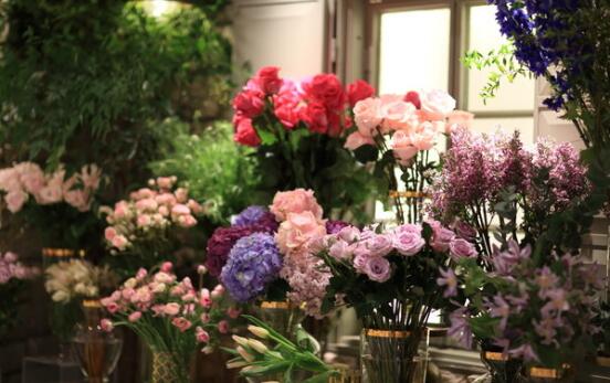 普通花店一年大概赚多少钱,一个普通的花店一个月能赚多少钱