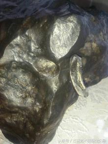 陨石的五大特征,陨石的六种特征