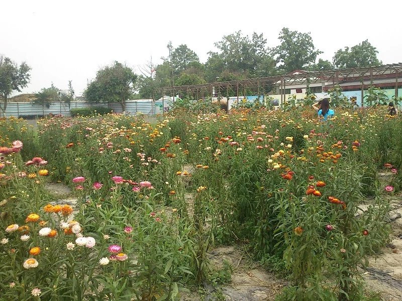 郫都区附近的农家乐和休闲农庄,郫都妈妈农庄照片