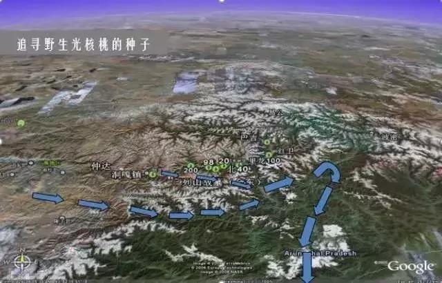 给未来“留种”！他们建的这个库是我见过最酷的