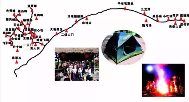 板栗树林旅游攻略,陕西板栗之乡风景图