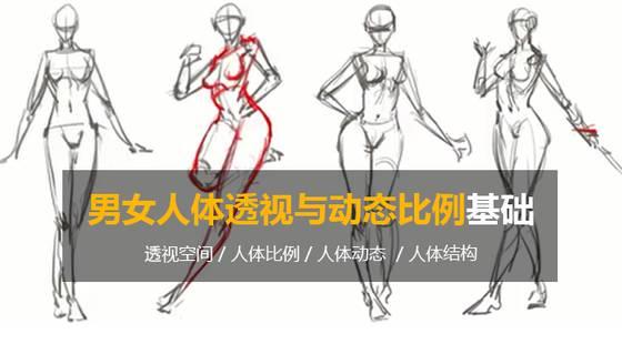 超认真的小白绘画教程你学会了吗,从零开始基础绘画教程