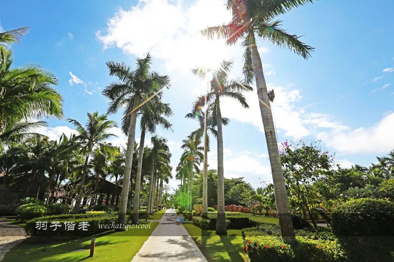 三亚瑞吉度假怎么样,三亚瑞吉最好的地方