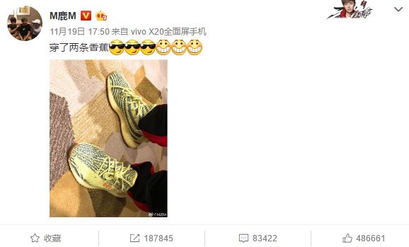 鹿晗转型,鹿晗转行做什么