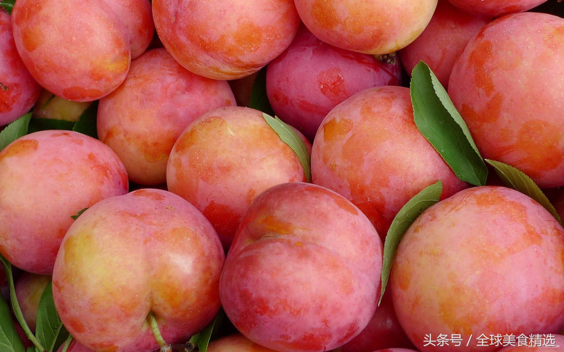 吃哪两种食物可以相克死亡,常吃这5类食物容易引发疾病