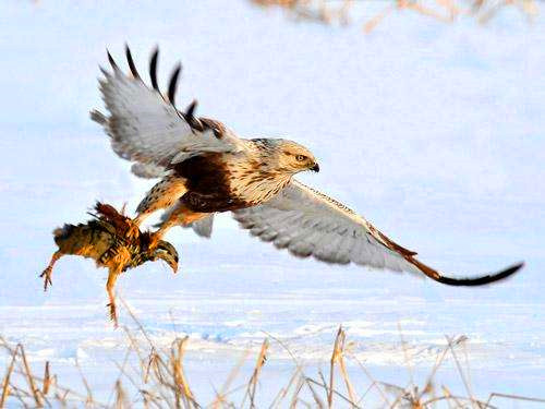 男默女泪系列完整版,男默女泪哪部电视剧好看