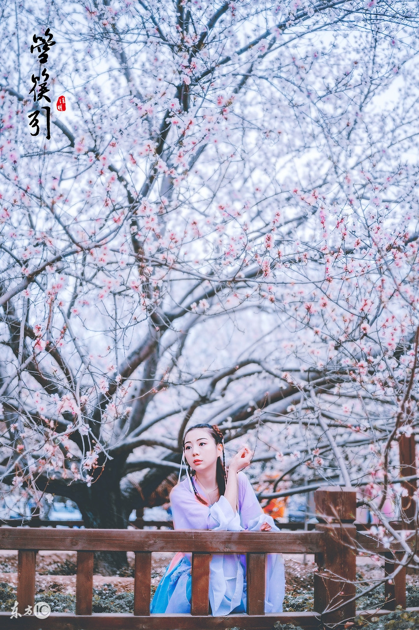 道德经最可怕的一句话曾仕强,老子道德经倒着背