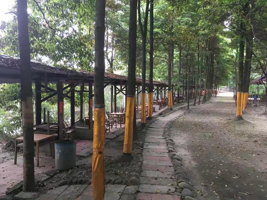 郫都区附近的农家乐和休闲农庄,郫都妈妈农庄照片