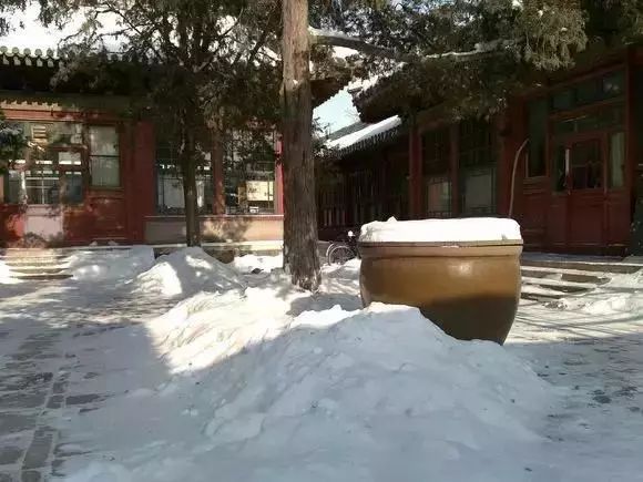 推荐15部涨知识的国产纪录片,国产纪录片评分排行榜前10名