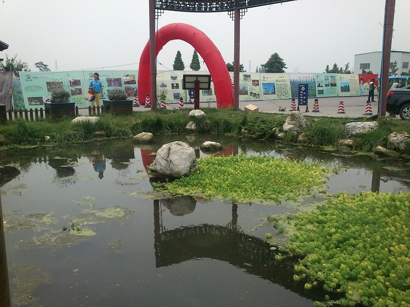 郫都区附近的农家乐和休闲农庄,郫都妈妈农庄照片